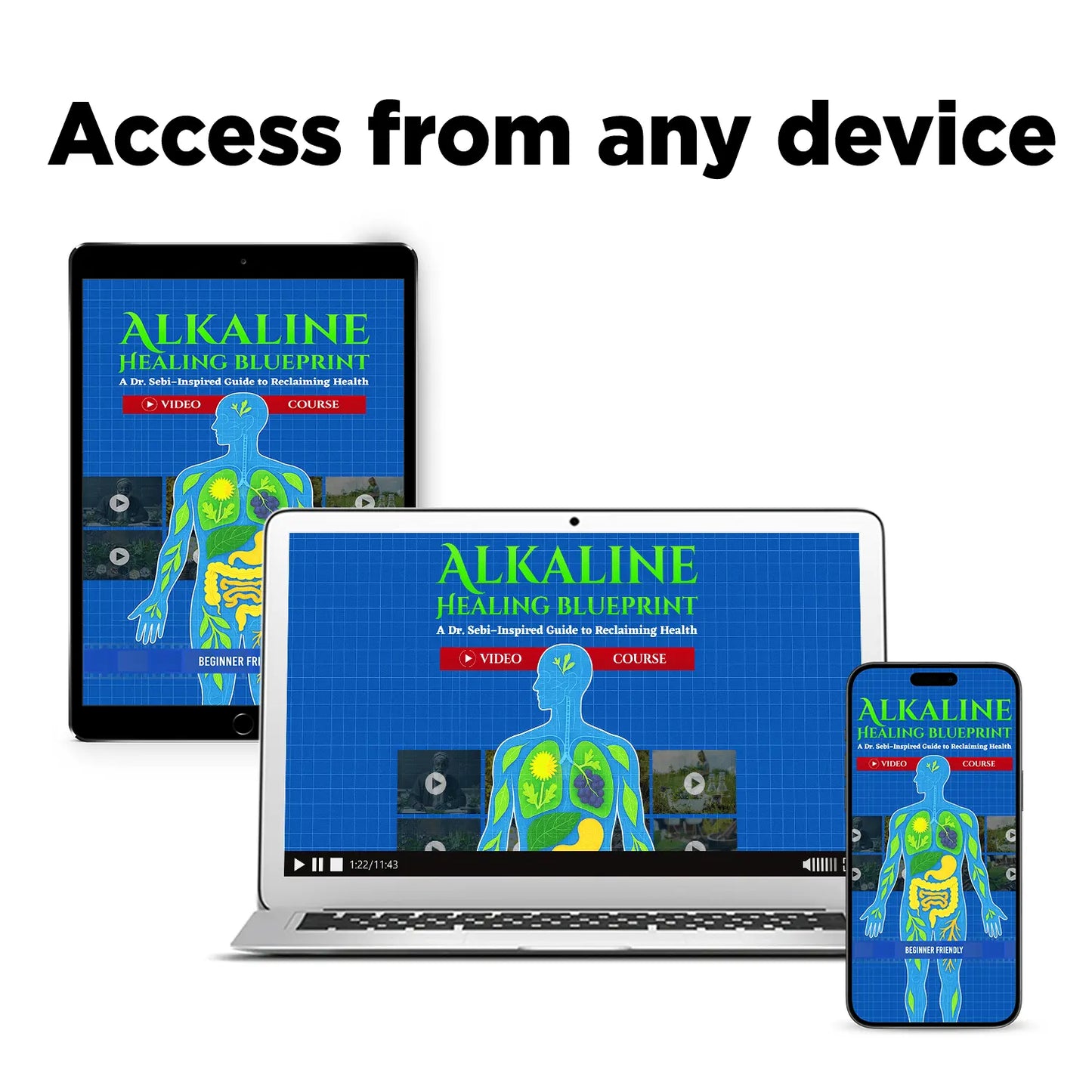 The Alkaline Healing System Video Course + Community