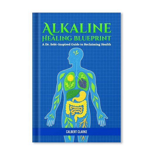 The Alkaline Healing Blueprint + Guides