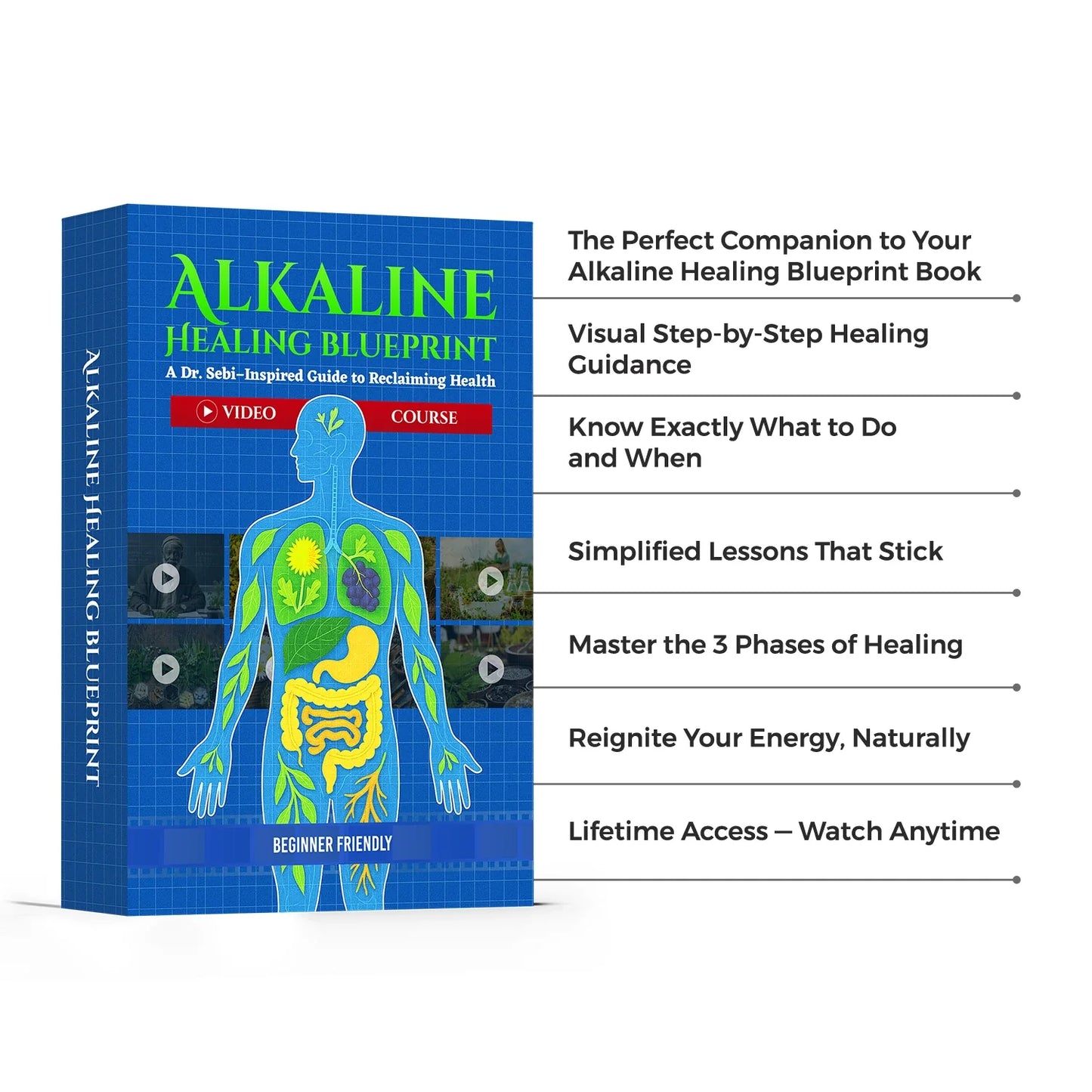 The Alkaline Healing System Video Course + Community
