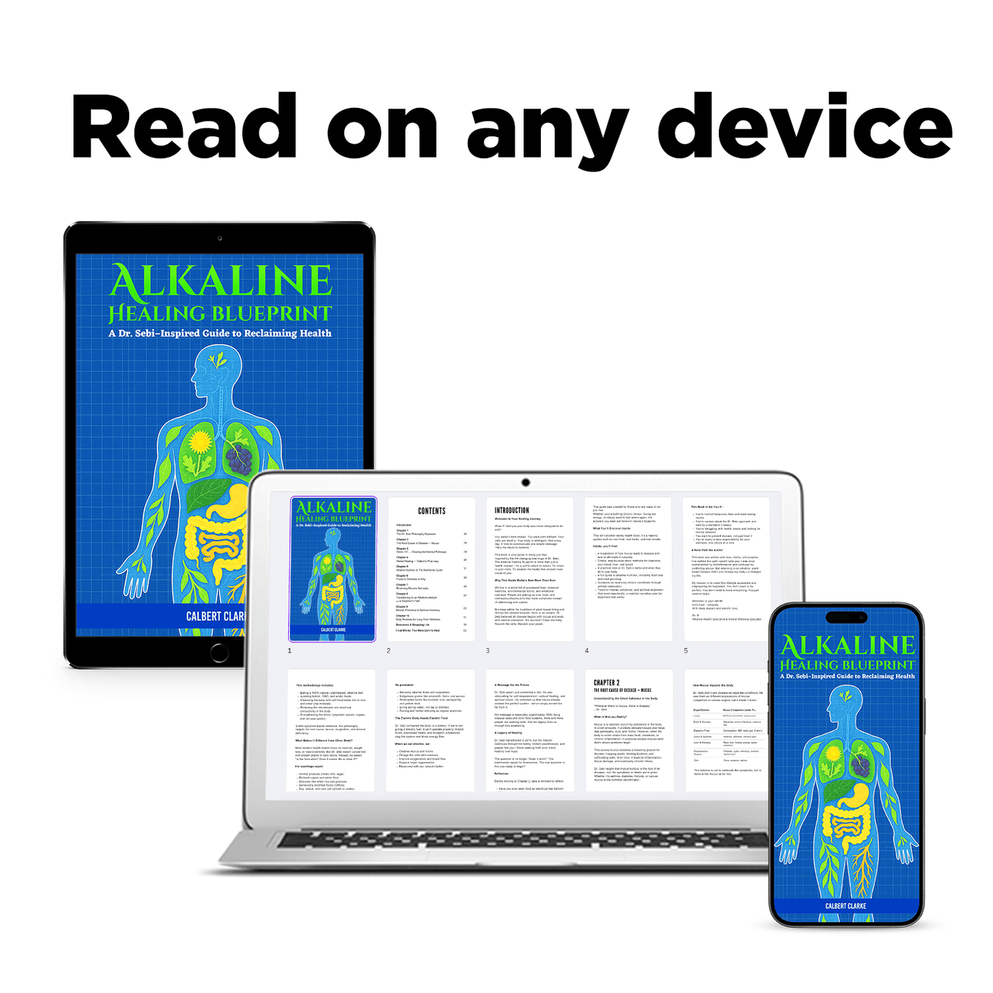 The Alkaline Healing Blueprint + Guides