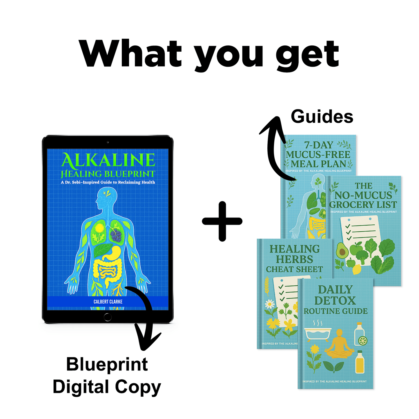 The Alkaline Healing Blueprint + Guides